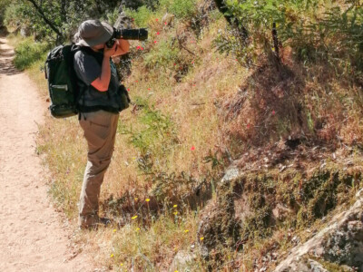 Appareil photo au poing